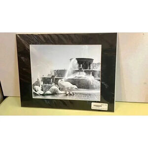 Buckingham Black &‎ White Aerial Historical Art Print black Matted new